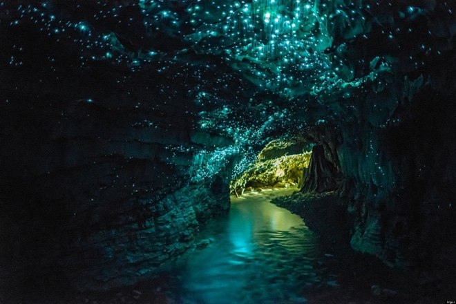 waitomo-glowworm-caves-1